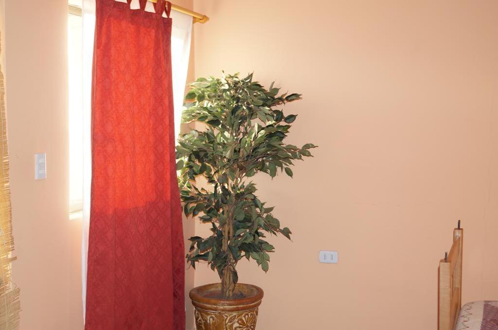 Hostal Intipara San Pedro de Atacama Eksteriør billede